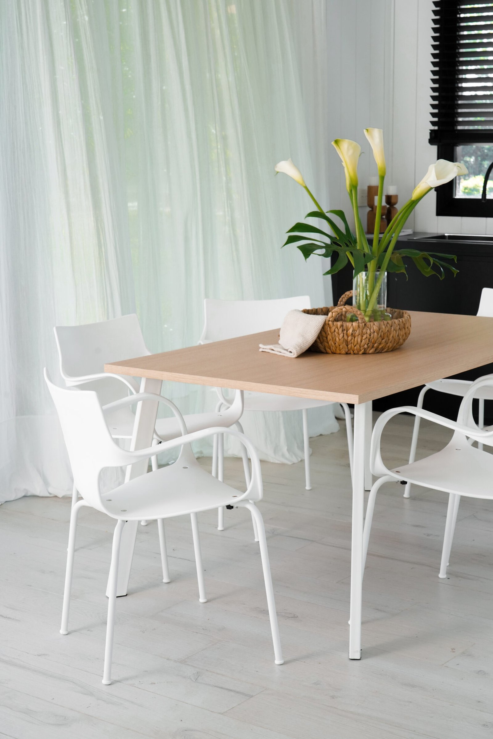 Jim pintada blanco 13