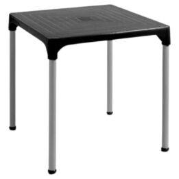 Mesa Plastica Lupe