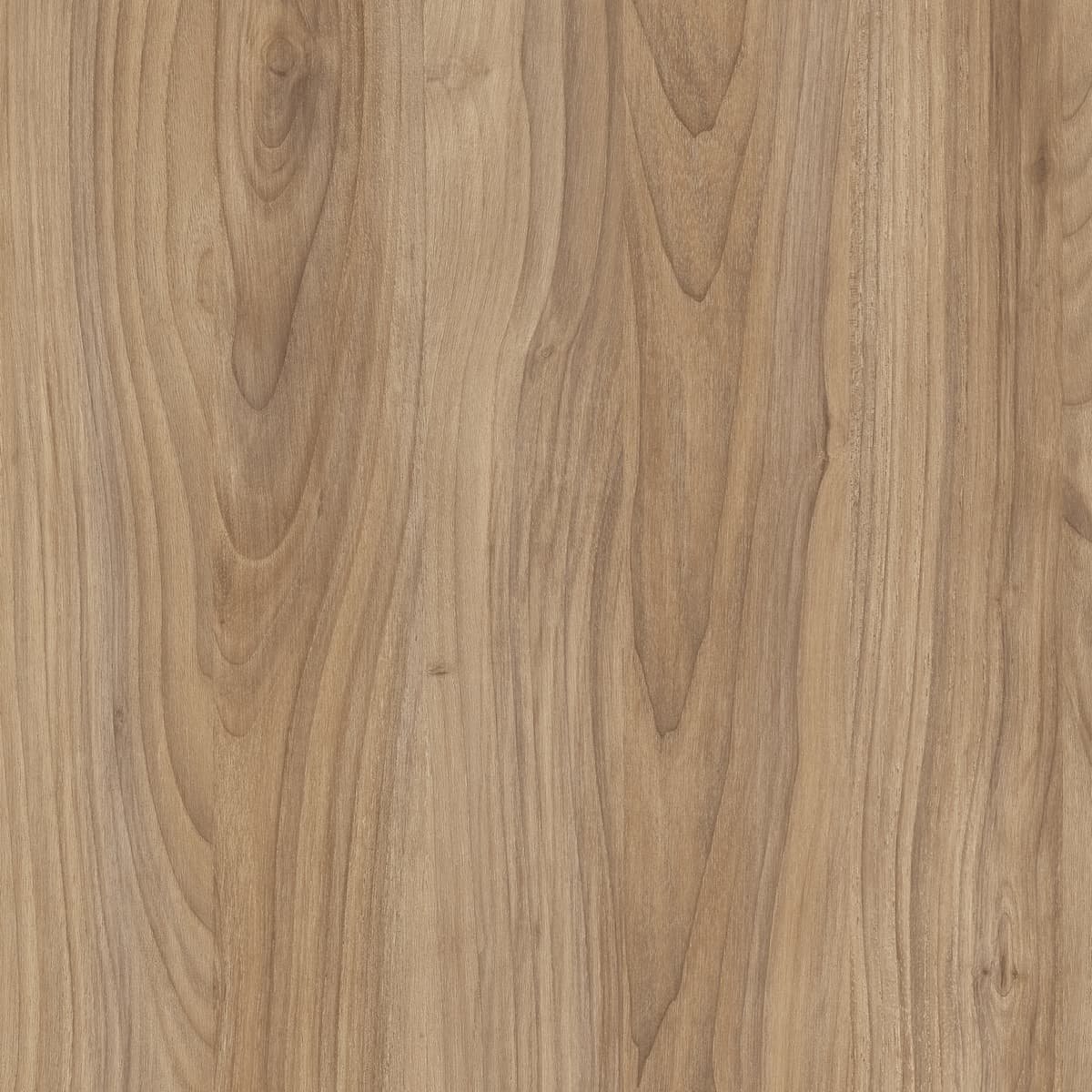 MUESTRA MADERA